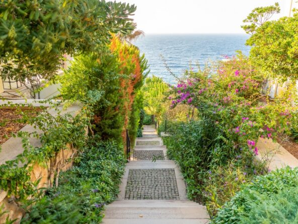 Bodrum seafront luxury villa