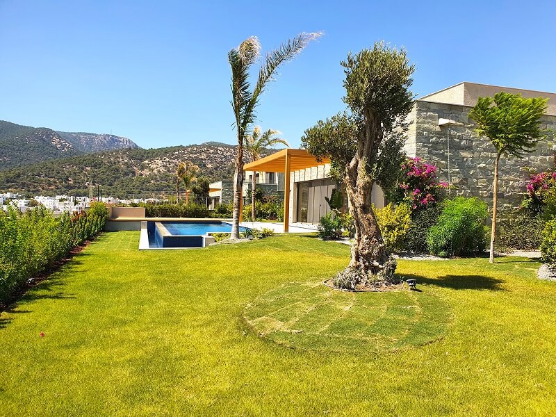 Smart home villa