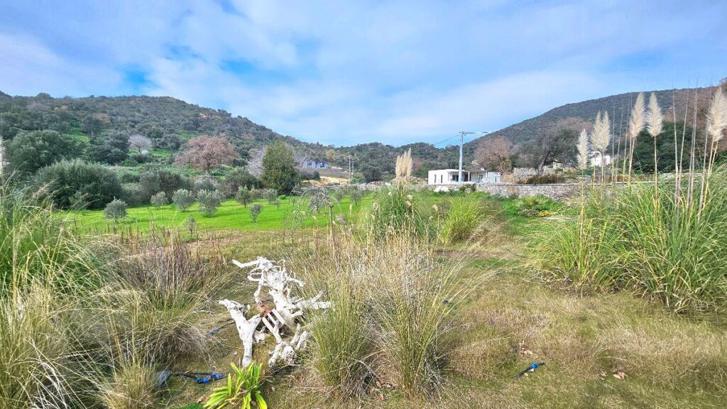 Bodrum country house 